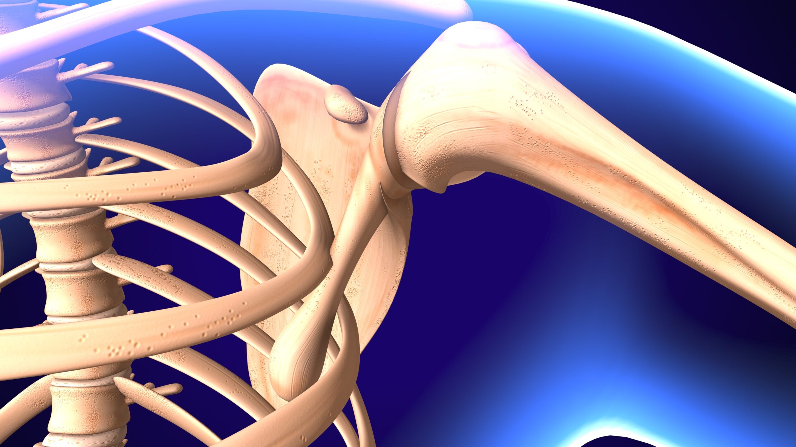 Orthopedic Shoulder Care